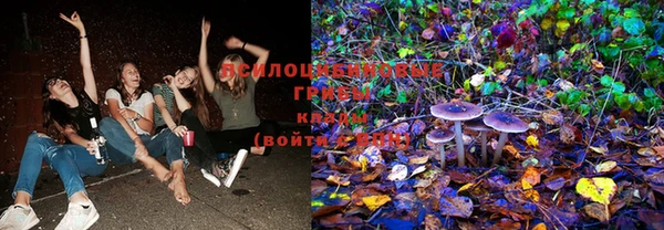 хмурый Кулебаки
