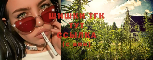apvp Краснослободск