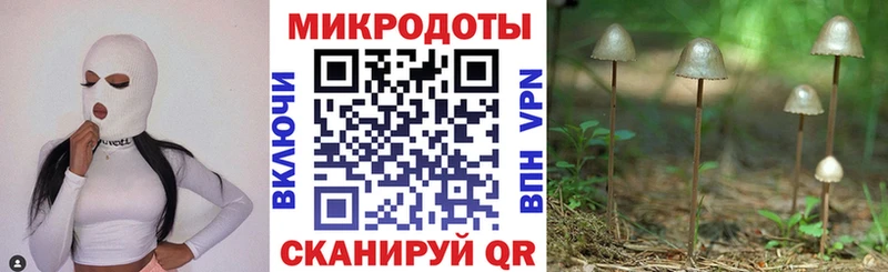 Купить закладки  Калининград  Галлюциногенные грибы мицелий 